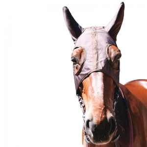 Ce bonnet pour chevaux avec oreilles et sans oeillère...