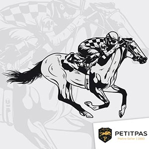 Élaboré pour les cavaliers exigeants, cet...