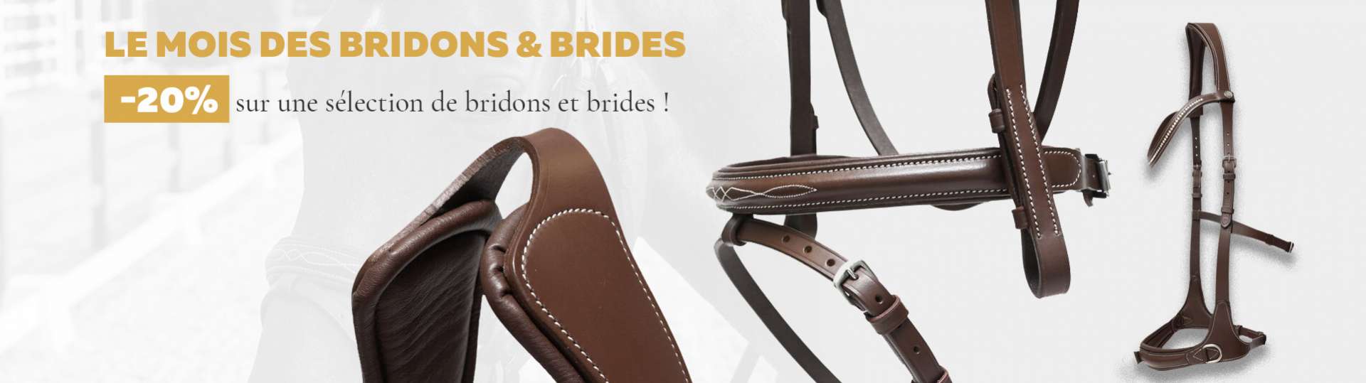 Mois des Bridons & Brides